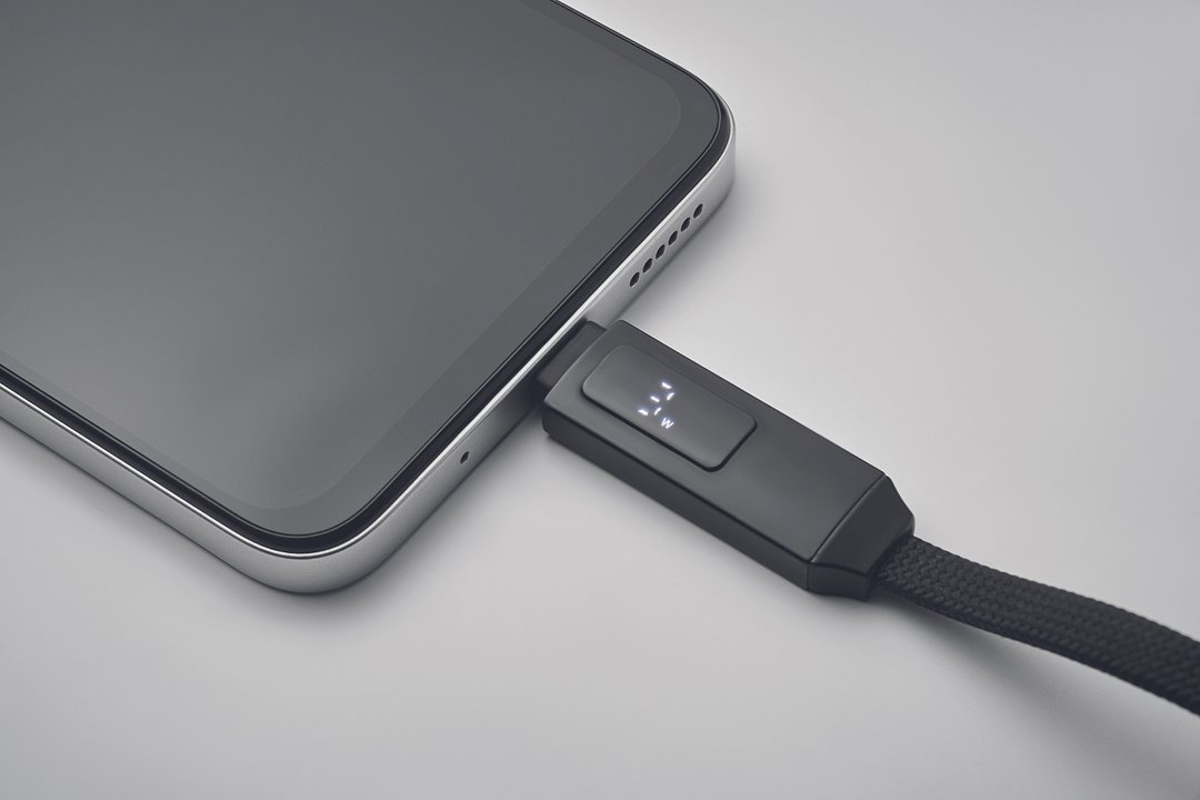 60W Schlüsselring-Ladekabel Pauli