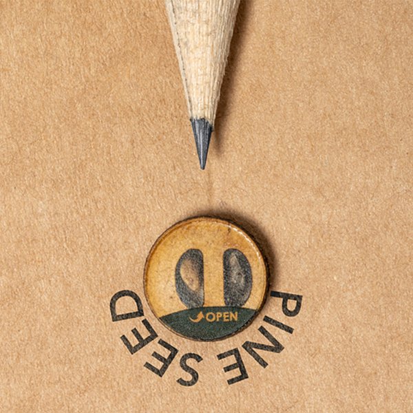 Samen Bleistift Idsio