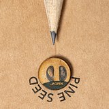 Samen Bleistift Idsio