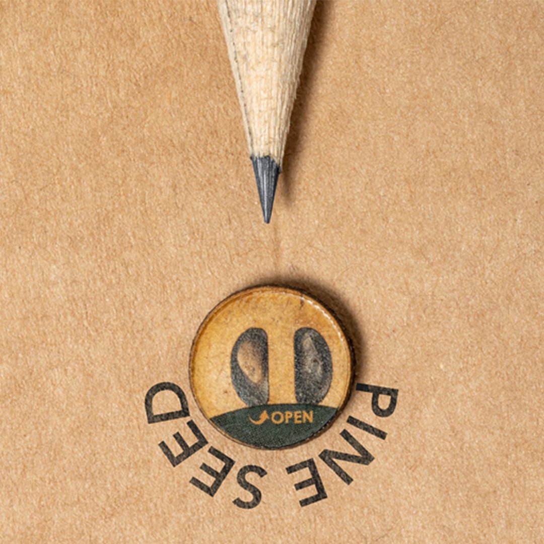 Samen Bleistift Idsio