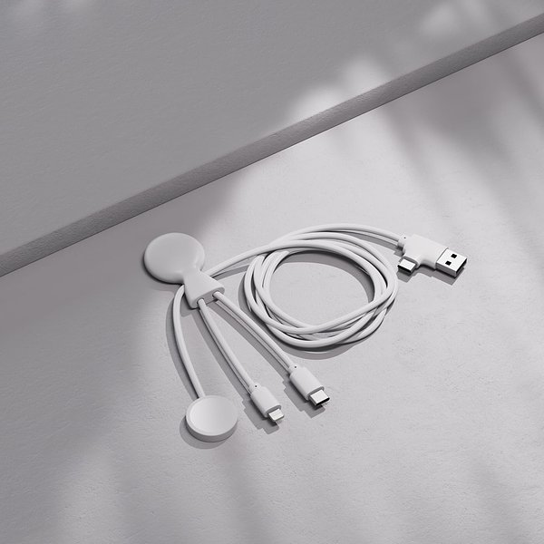 Mr. Bio Long Multi-Kabel für Apple/Samsung Watch 1 Meter Elinat