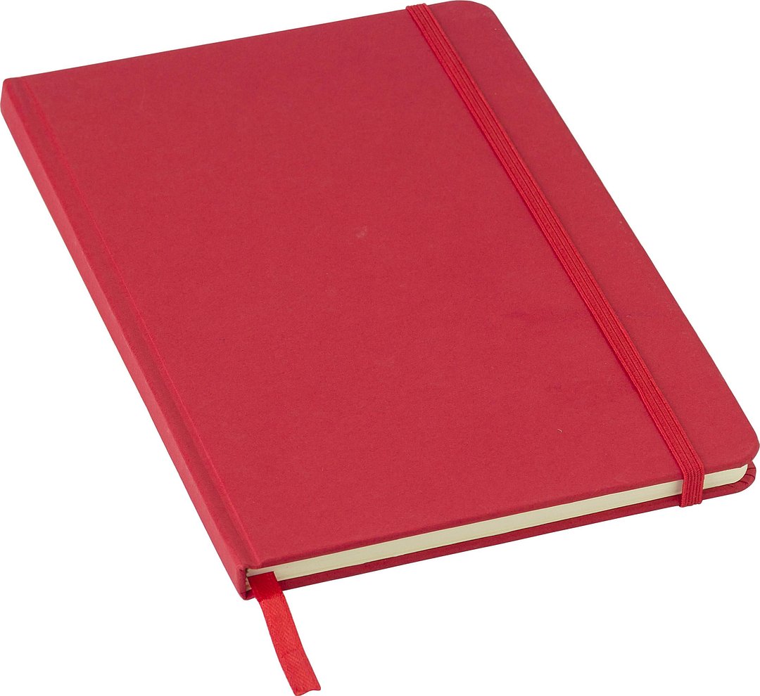 Notizbuch Ninep | Recycelt | A5 | Liniert