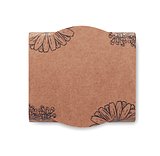 Terracotta-Topf Vergissmeinnich Saran