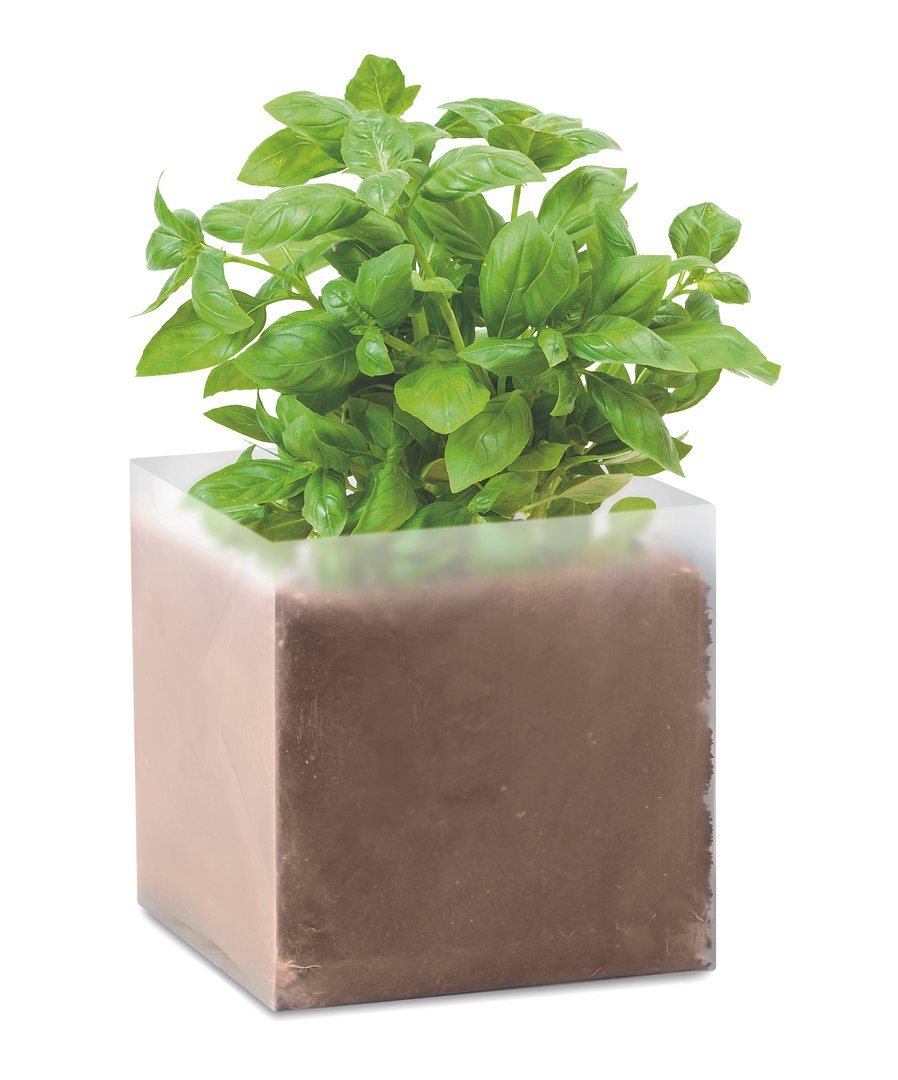 Pflanz-Set "Basilikum" Dichannan