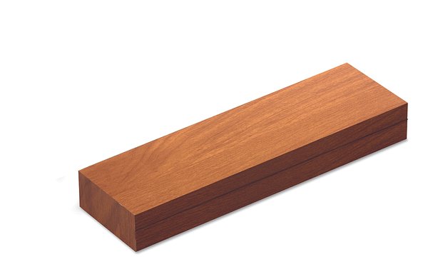 Laserpointer mit Touchpen Inatias