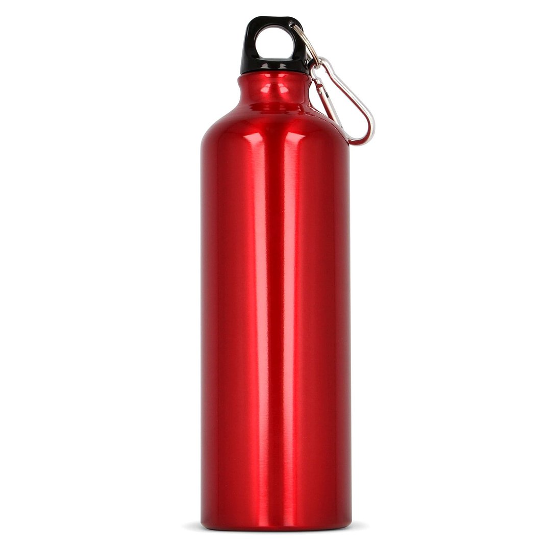 Aluminium Wasserflasche mit Karabiner 750ml Stgaunela