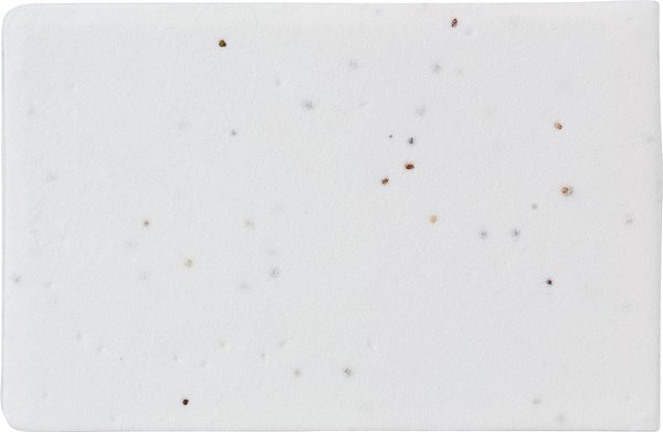 Haftnotizen aus Saatgutpapier Badinesca