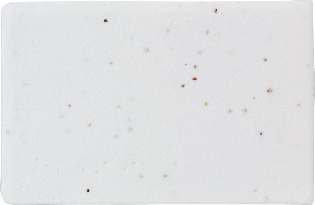 Haftnotizen aus Saatgutpapier Badinesca
