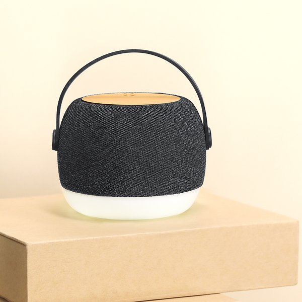 Ladegerät Lautsprecher Idrit