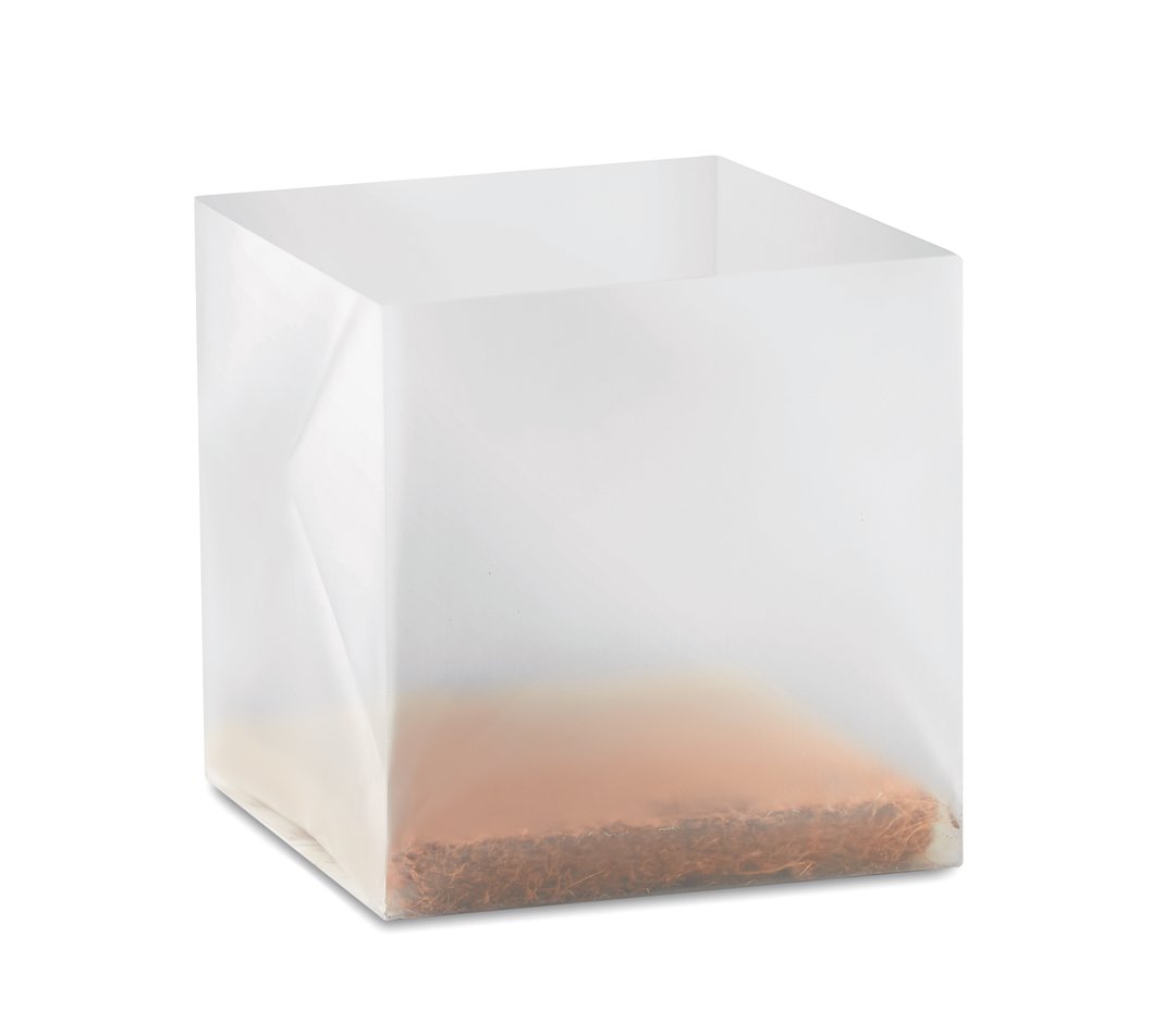 Pflanz-Set "Minze" Paulia