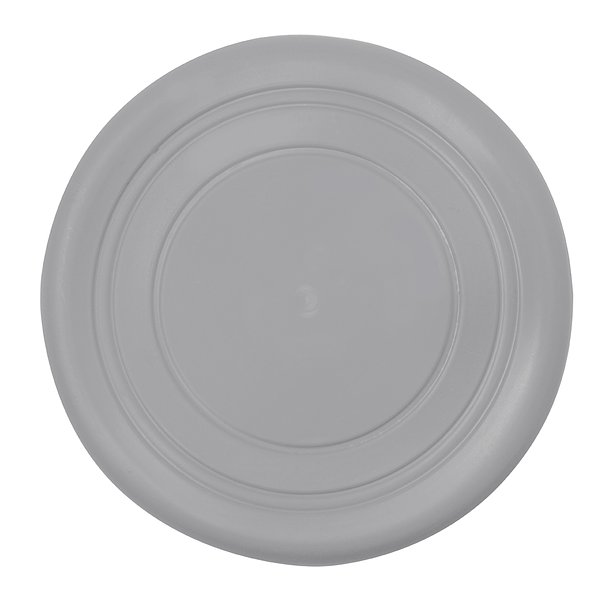Frisbie Idrud