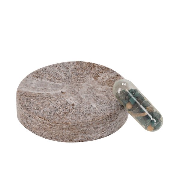 Pflanzbares Pack Idael