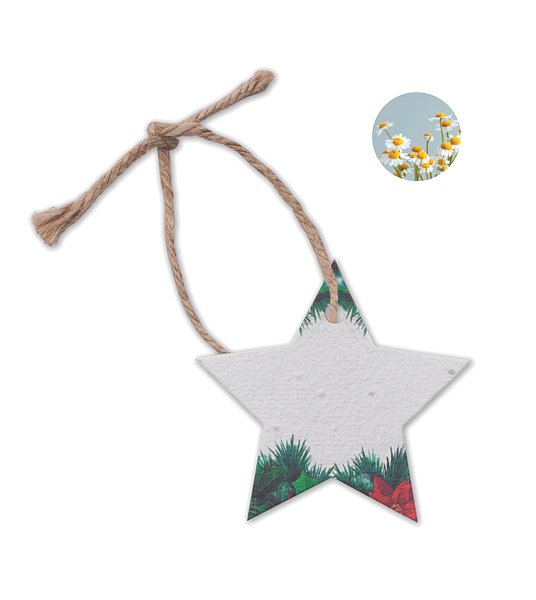 Weihnachtsschmuck Samenpapier Beathll