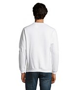 Herren Sweater 260g Bendinati