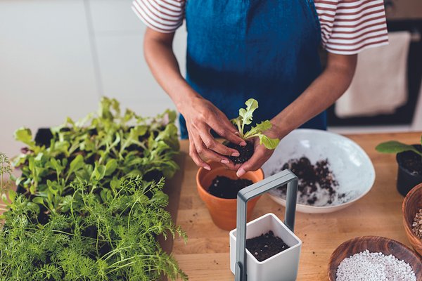 Inndor-Pflanztopf mit LED Vrenchast
