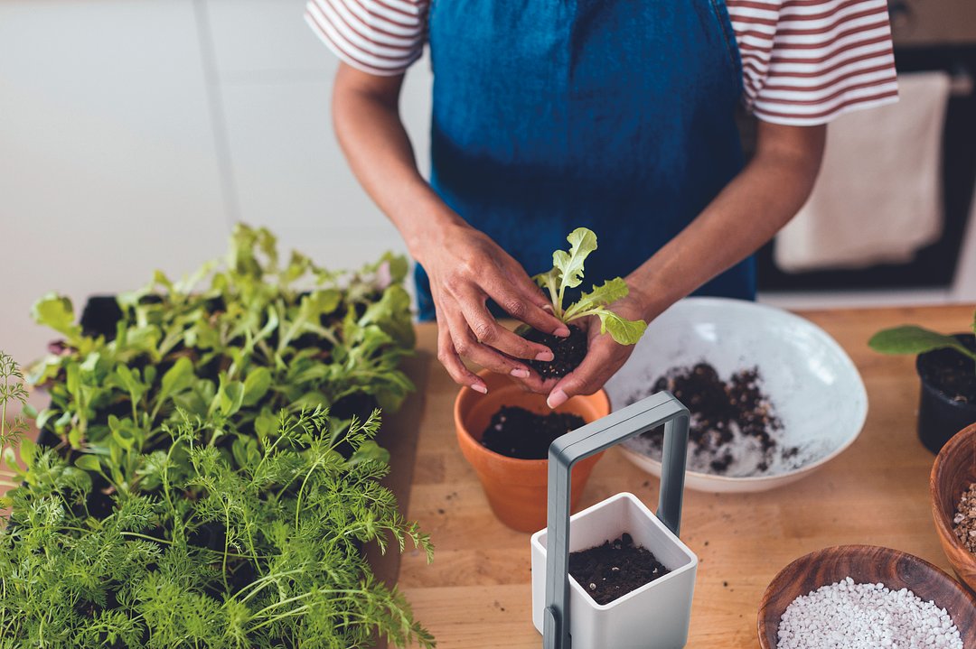 Inndor-Pflanztopf mit LED Vrenchast