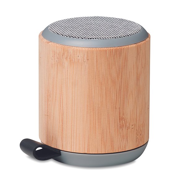 5.3 Wireless Lautsprecher Bistio