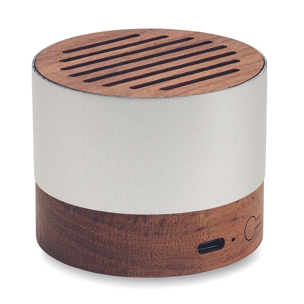 5.3 Wireless Lautsprecher Renatiana