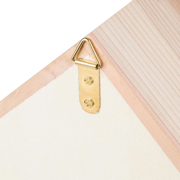 Bienenhaus Ferinanni | Recyceltes Holz