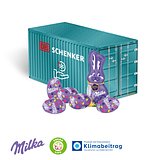 3D Präsent Container