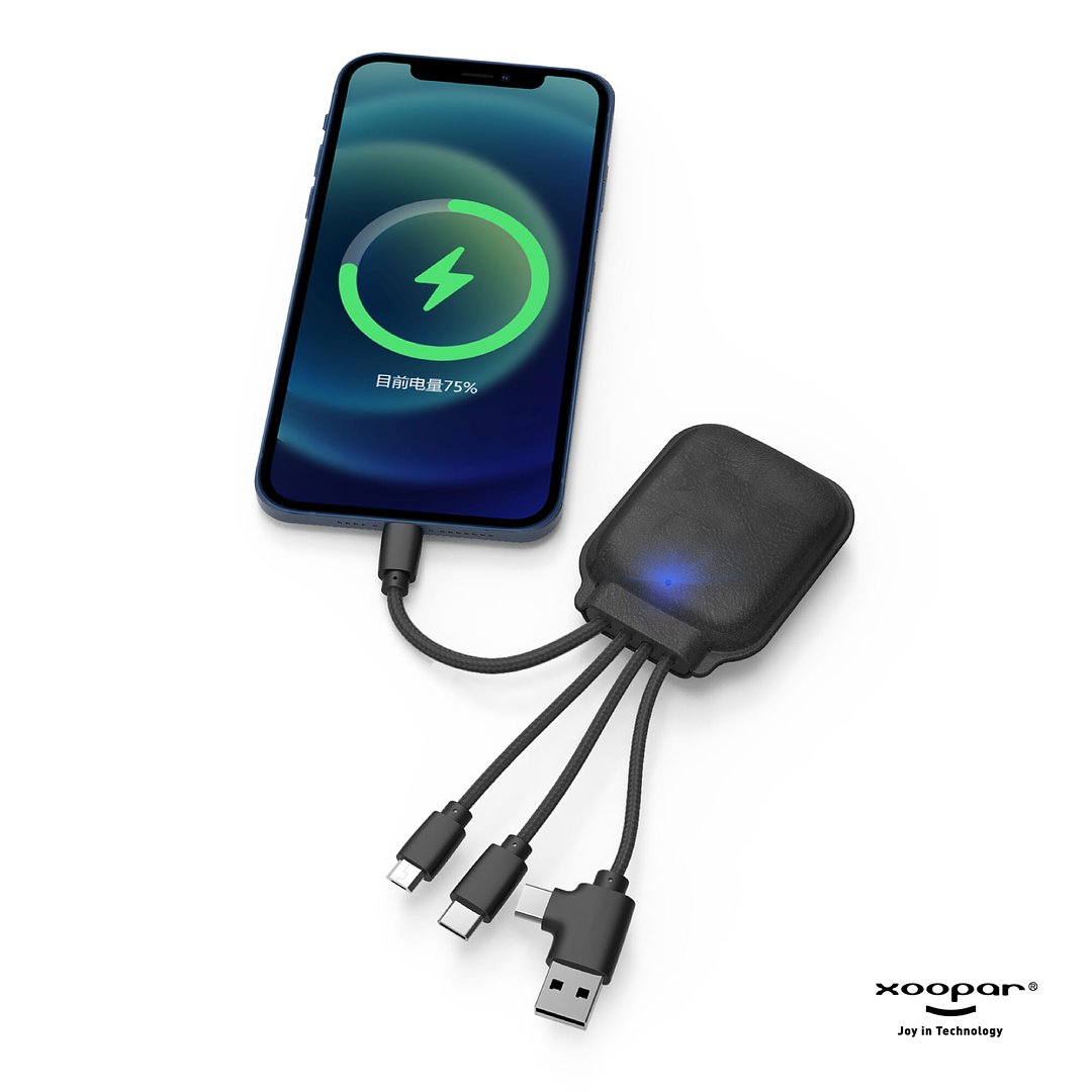 Iné Gamma Charging cable with NFC and 3.000mAh Powerbank Ainell