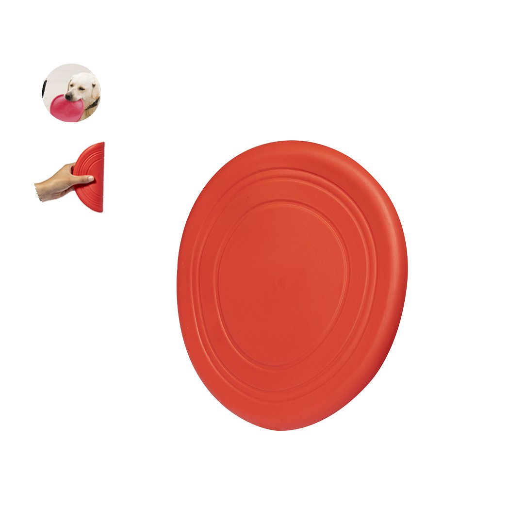 Frisbie Idrud