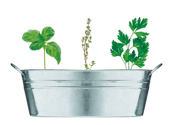 Zink-Pflanzkübel Noldins