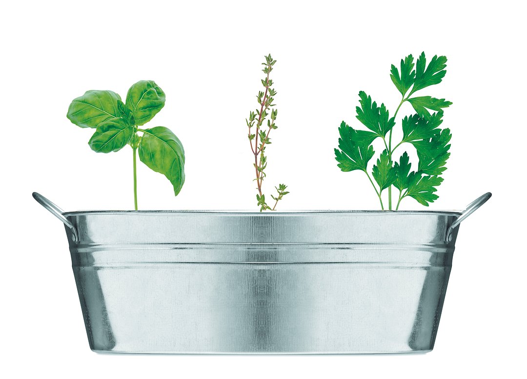 Zink-Pflanzkübel Noldins