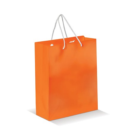 Laminierte Papiertasche, mittel Frilgix