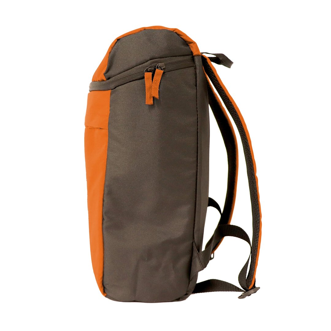 Kühlrucksack Basic Paunzi