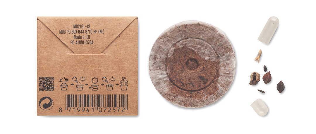 Samen Sommerblumen Badrie