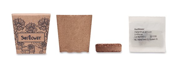 Pflanz-Set Sonnenblume Benglia