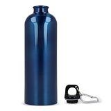 R-Edelstahl einwandige Flasche mit Karabiner 750ml Chatha