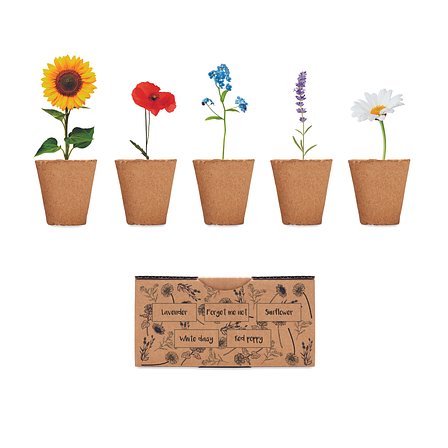 Saat-Set Sommerblumen Nelylas