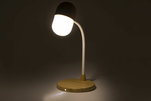 Multifunktion Lampe Idars