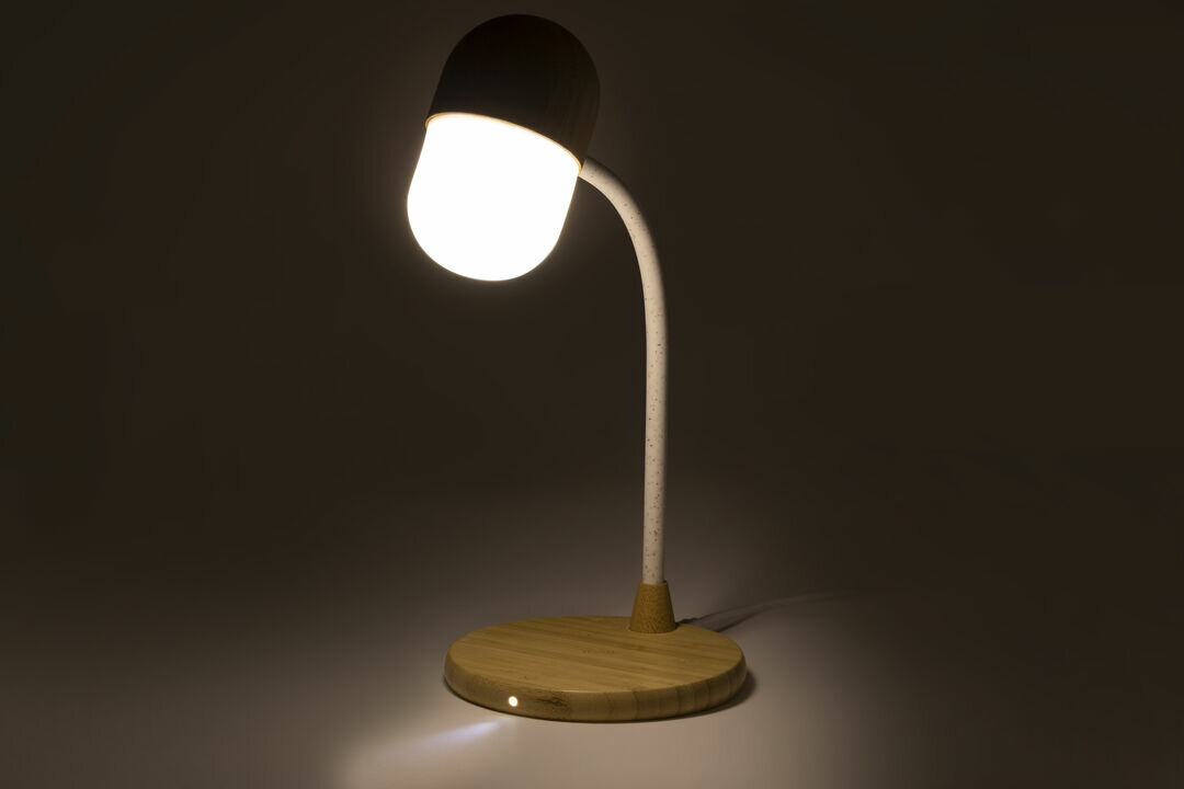 Multifunktion Lampe Idars