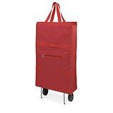 Einkaufstrolley Idsty