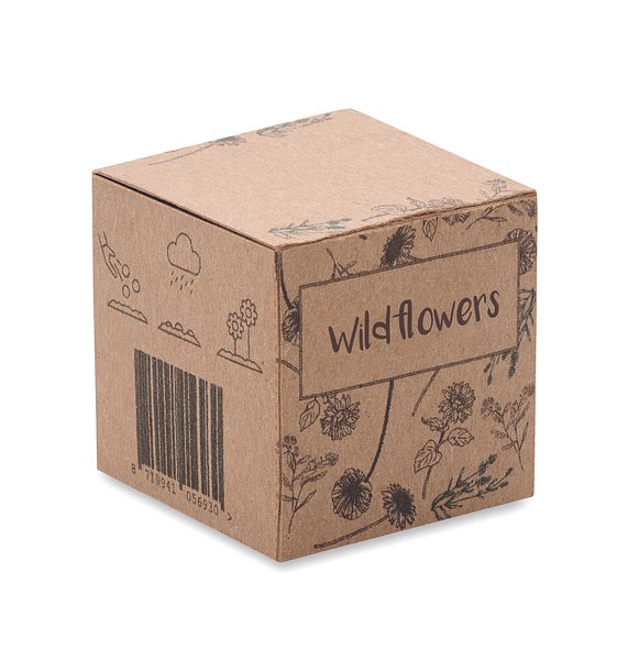 Saat-Set Wildblumen Nola