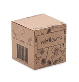 Saat-Set Wildblumen Nola