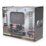 Vintage Plattenspieler mit BT-Ausgang Fens