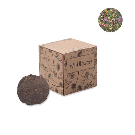 Saat-Set Wildblumen Nola