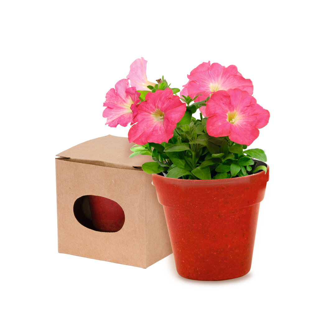 Blumentopf Idert