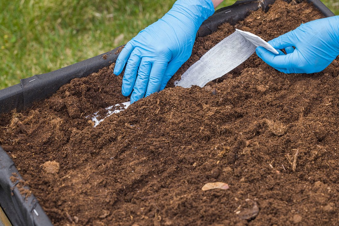 Kräutersamenband 3m Saras