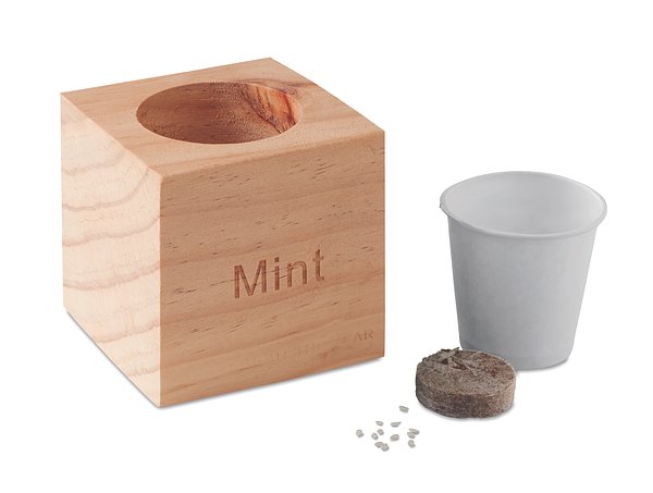 Kräuterpflanz-Set "Minze Vreilgi