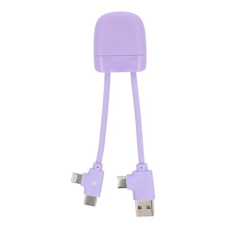 ICE-B Multi-Ladekabel Stgaulf