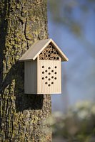 Bienenhaus aus Holz Adicorlia