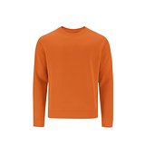 Kinder Sweatshirt Idmos