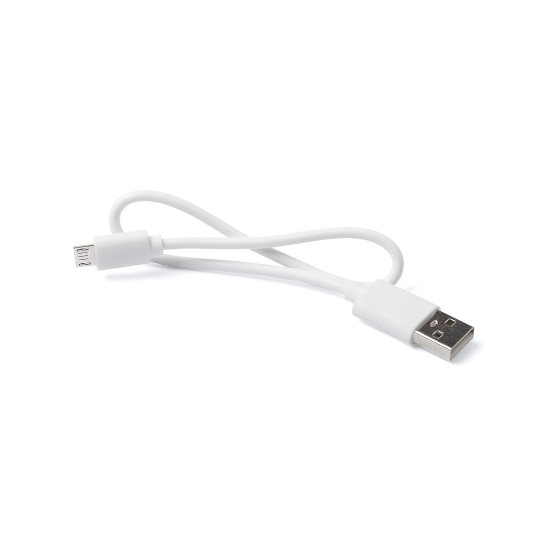 Power Bank Idbax