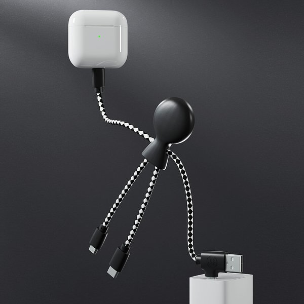 Mr. Bio Charging cable Ingian