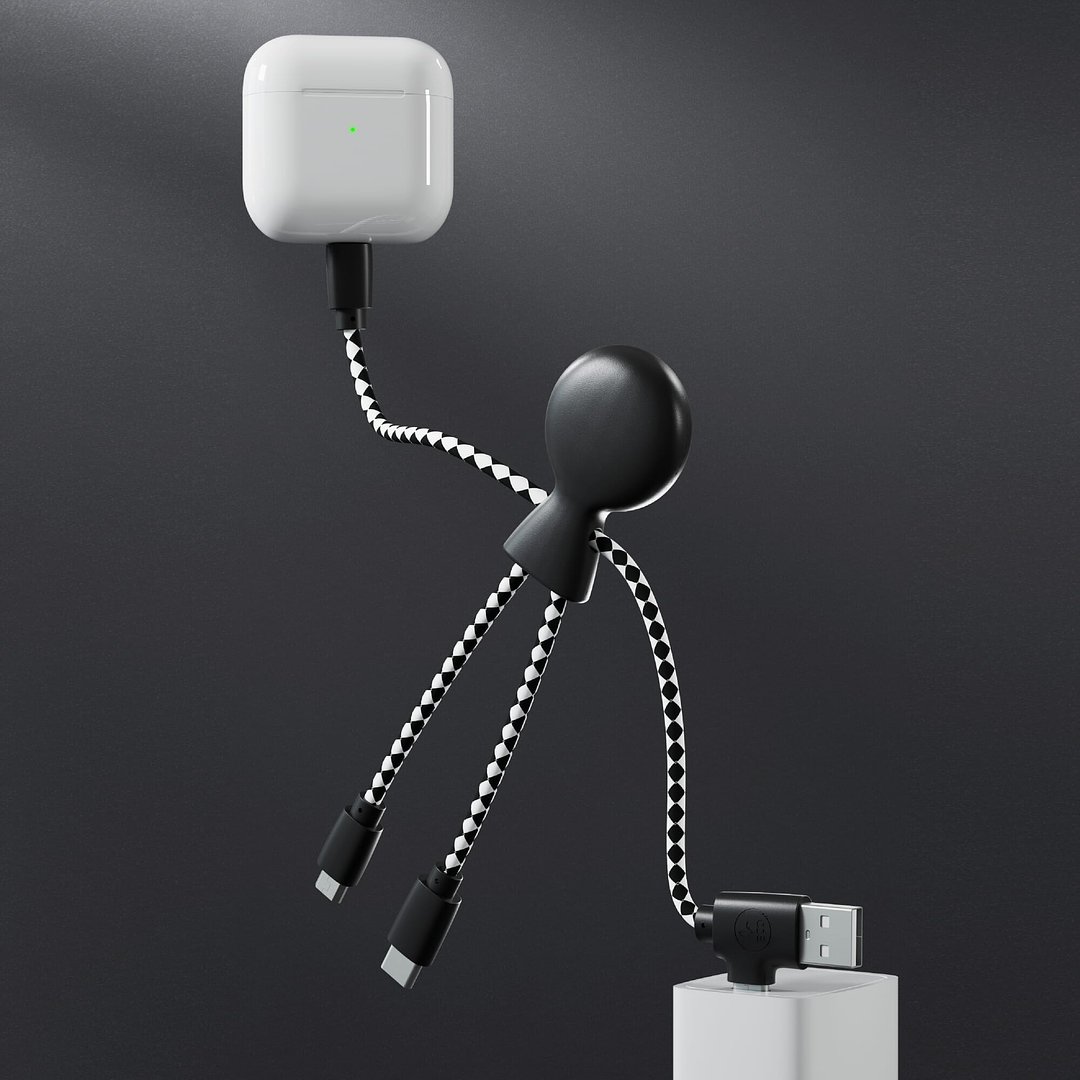 Mr. Bio Charging cable Ingian